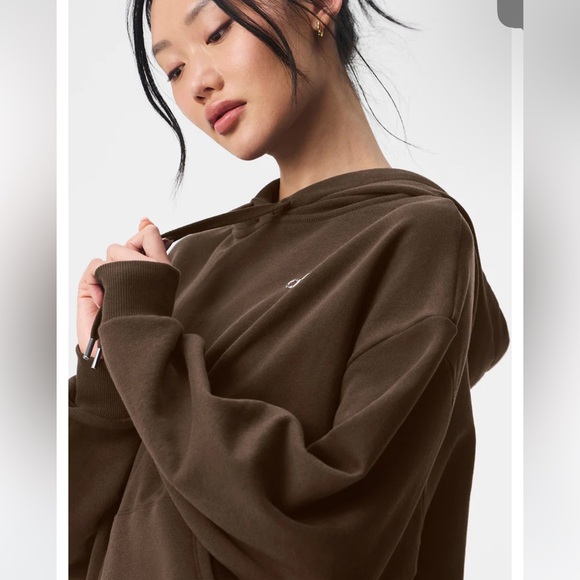 NWT ALO Accolade Hoodie Sweatshirt Espresso Size XS | $148 - Picture 5 of 15